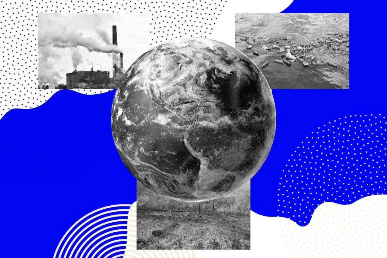 Is The Food You’re Feeding Your Dog Hurting The Planet?
