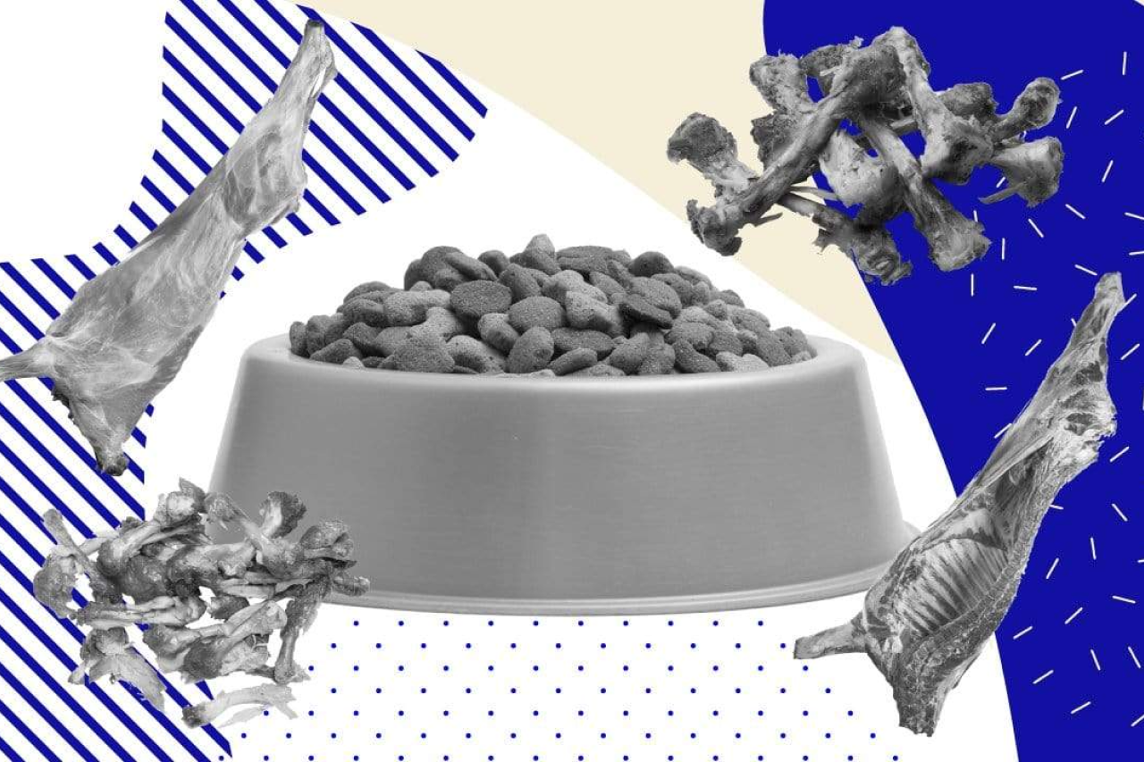 The Meat In Pet Food: What's Your Dog Really Eating?