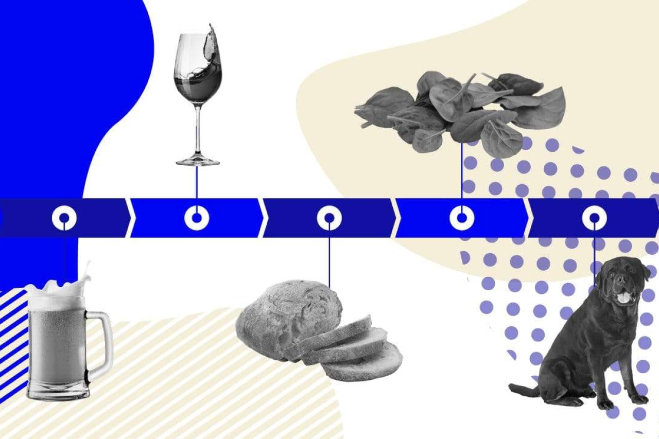 Yeast: An Ancient Food for Modern Times