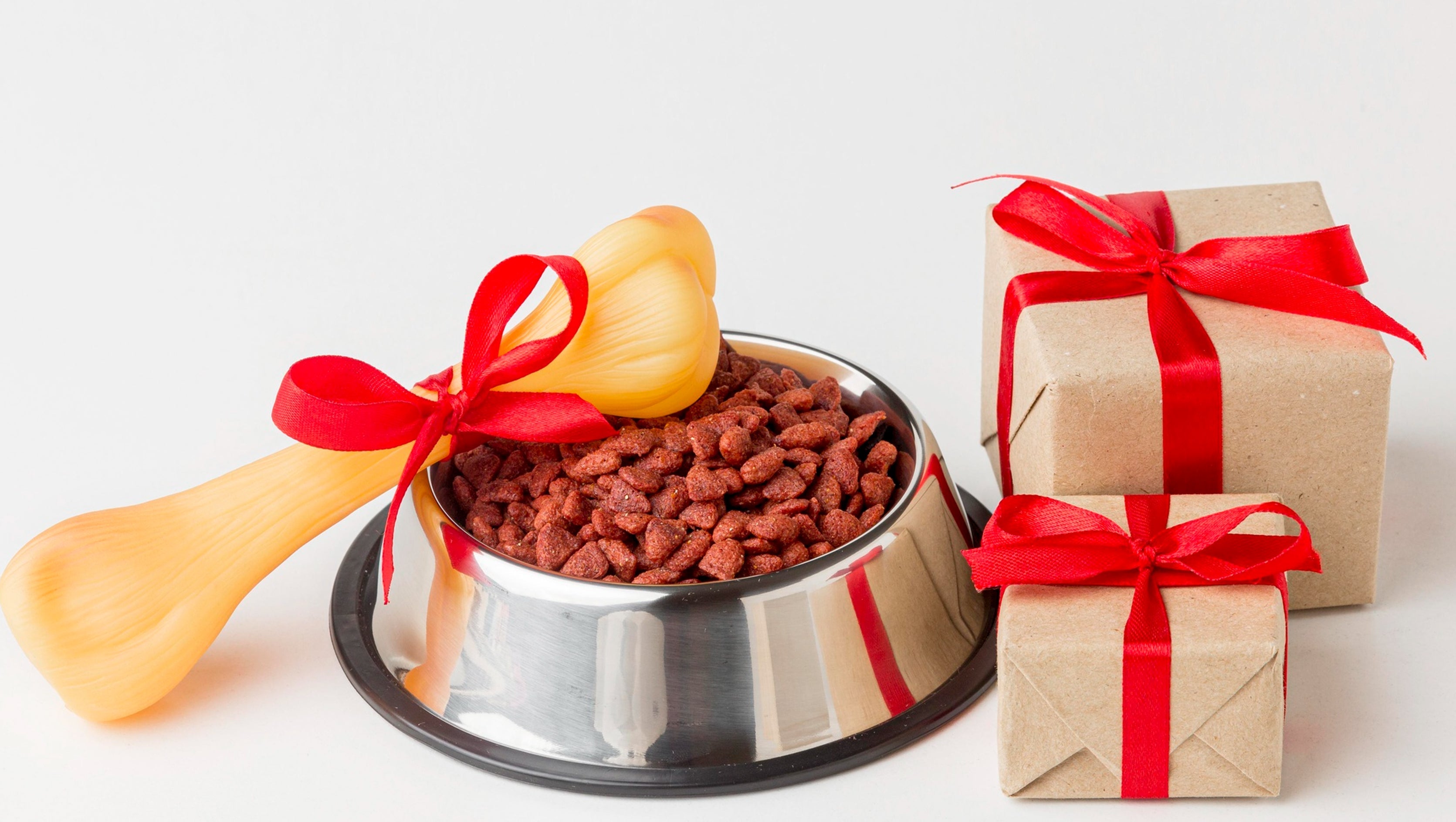 5 Holiday Foods That Are Safe for Dogs