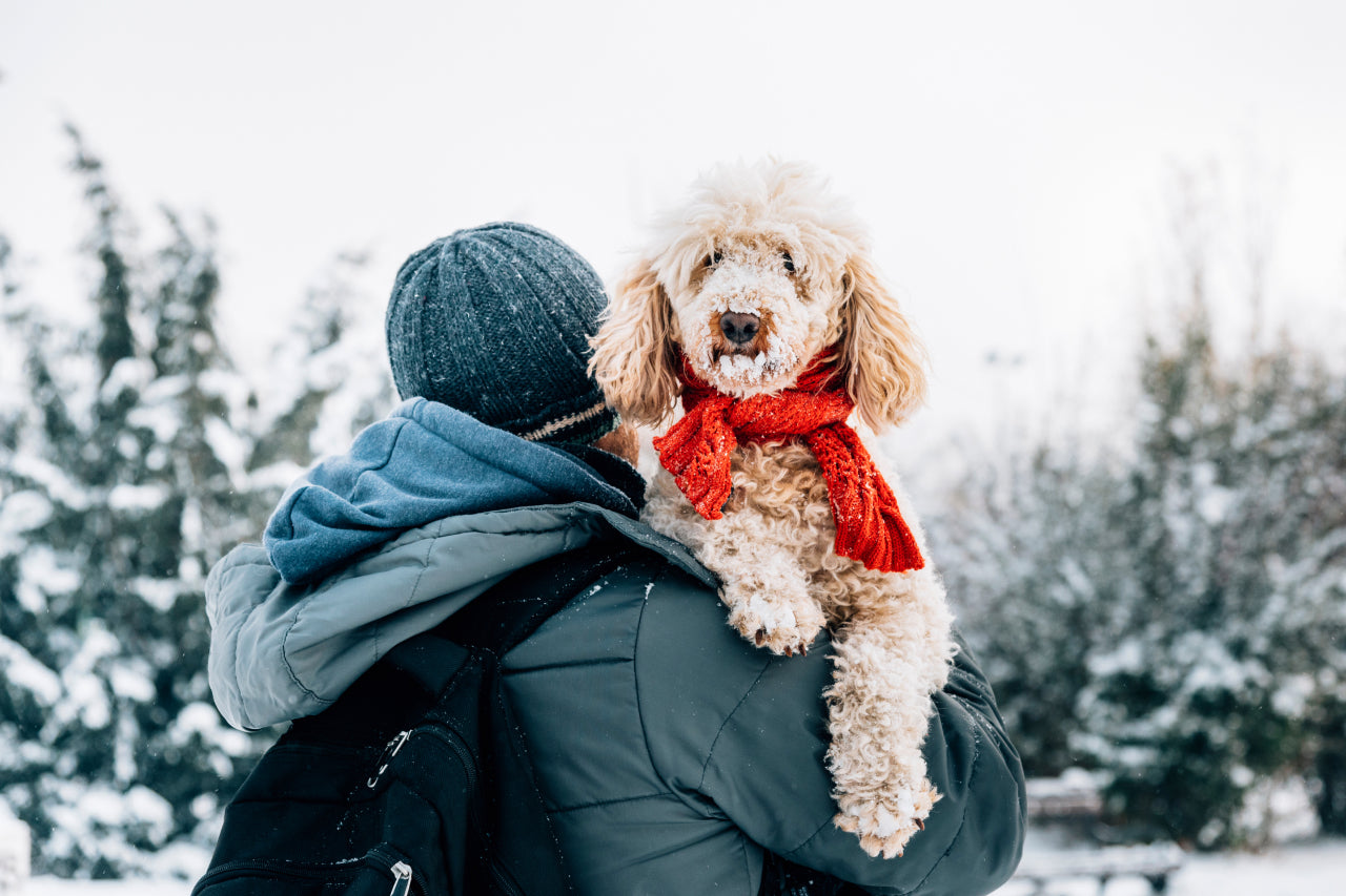 Top 5 Winter Fun Activities and Top 10 Cold Weather Safety Tips