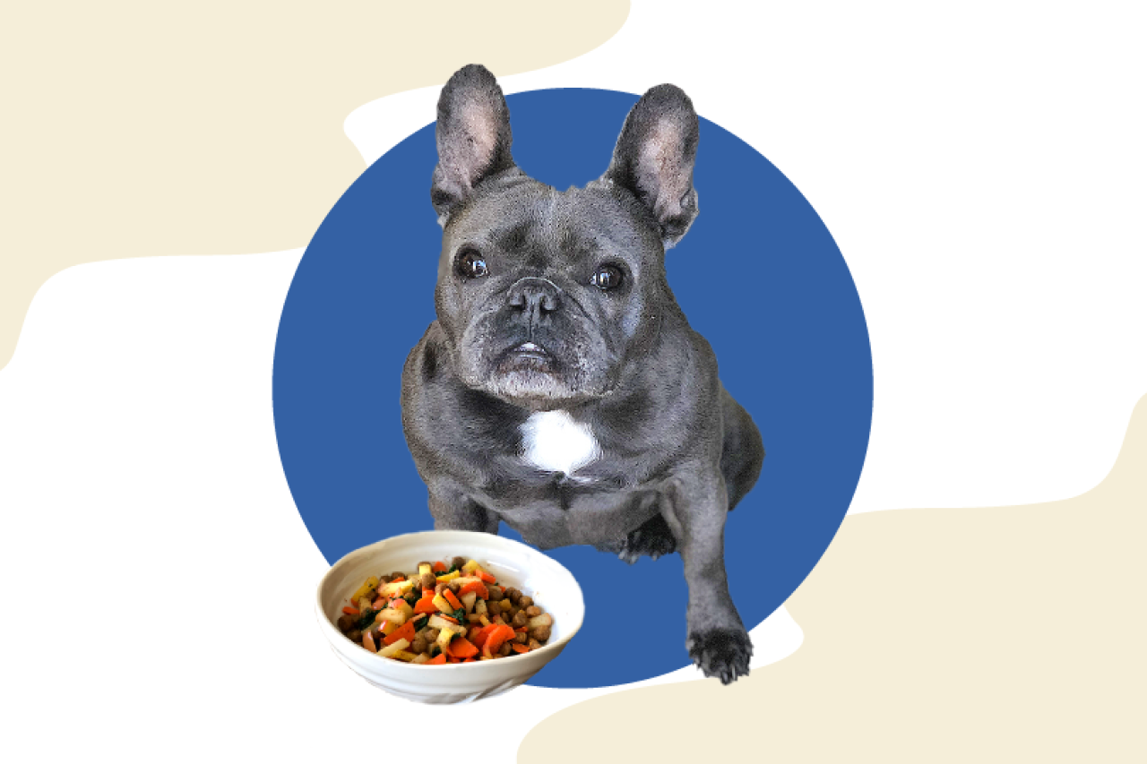 Jason Wrobel's 'Fresh n' Wild' Dog Bowl