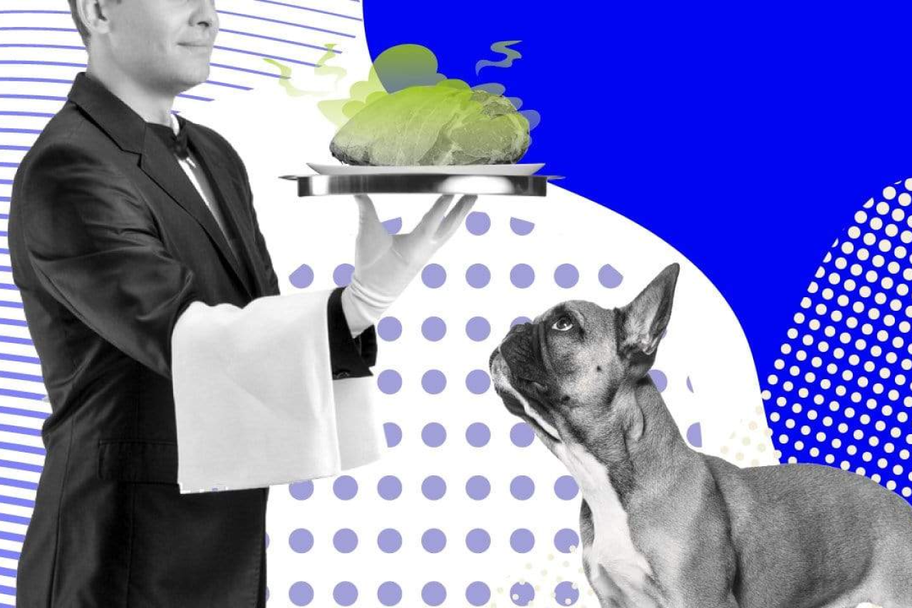 Is Raw Dog Food Safe?