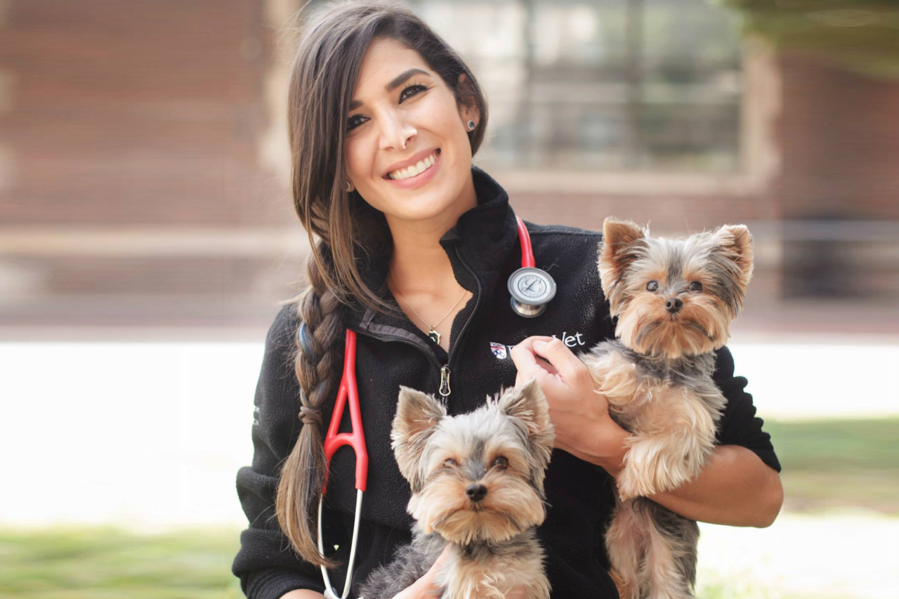 Meet the Wild Earth Vet!