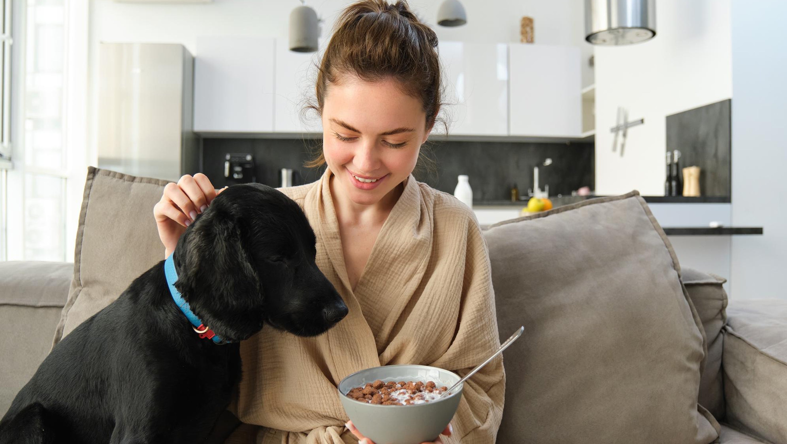 Top Healthy Pet Foods Your Furry Friend Will Love