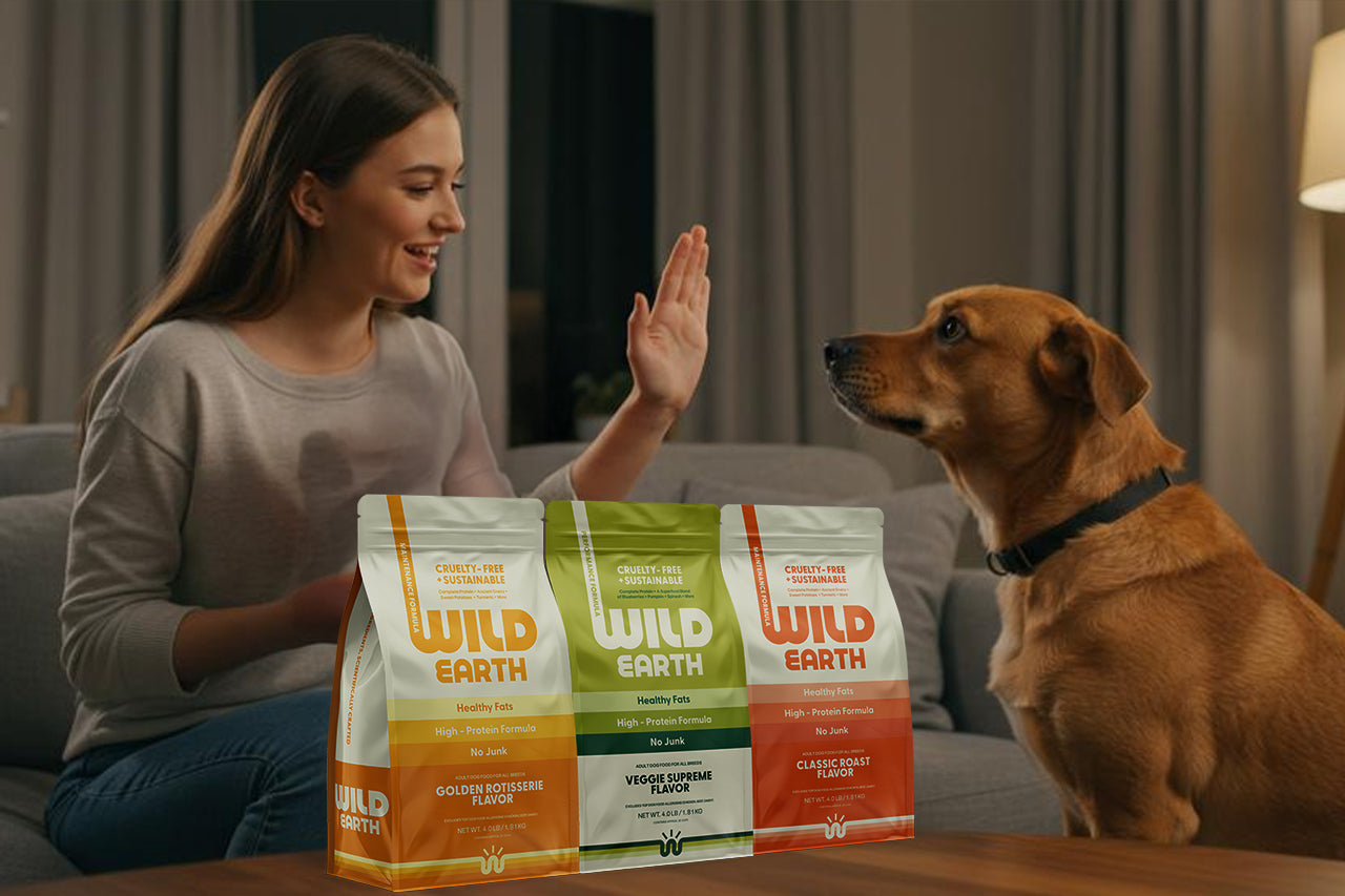 A woman high-fives a dog on a couch, with Wild Earth dog food bags in front. The scene is warm and cozy, suggesting happiness and health.