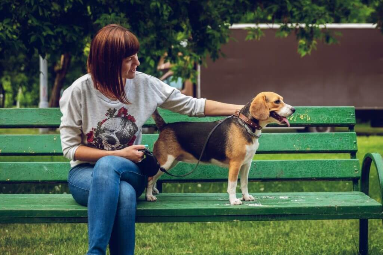 Epilepsy in Dogs: Causes, Symptoms, and Treatment Options