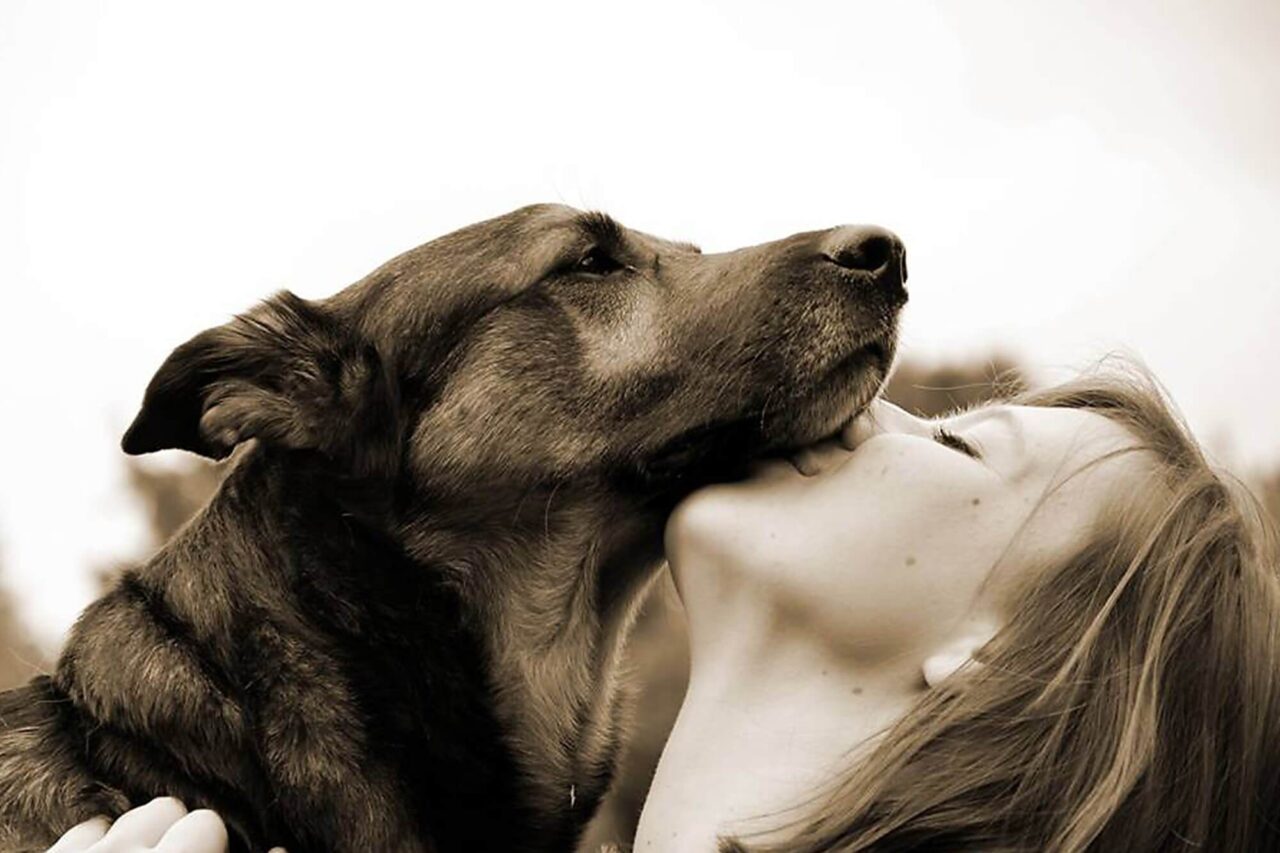 Are Dogs' Mouths Clean? The Answer