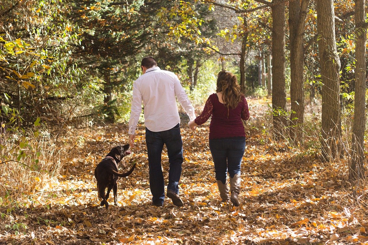 best family dog