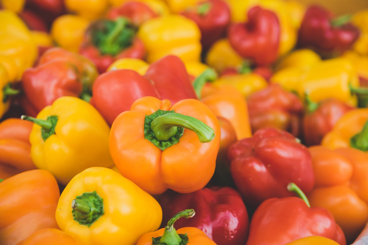 Can dogs have green best sale bell peppers