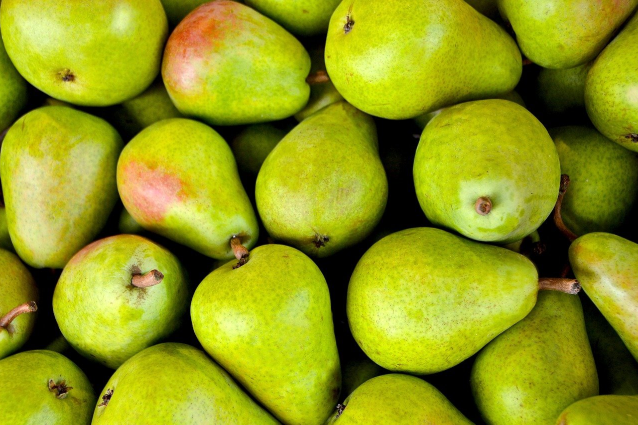 Are pears good for dogs hot sale