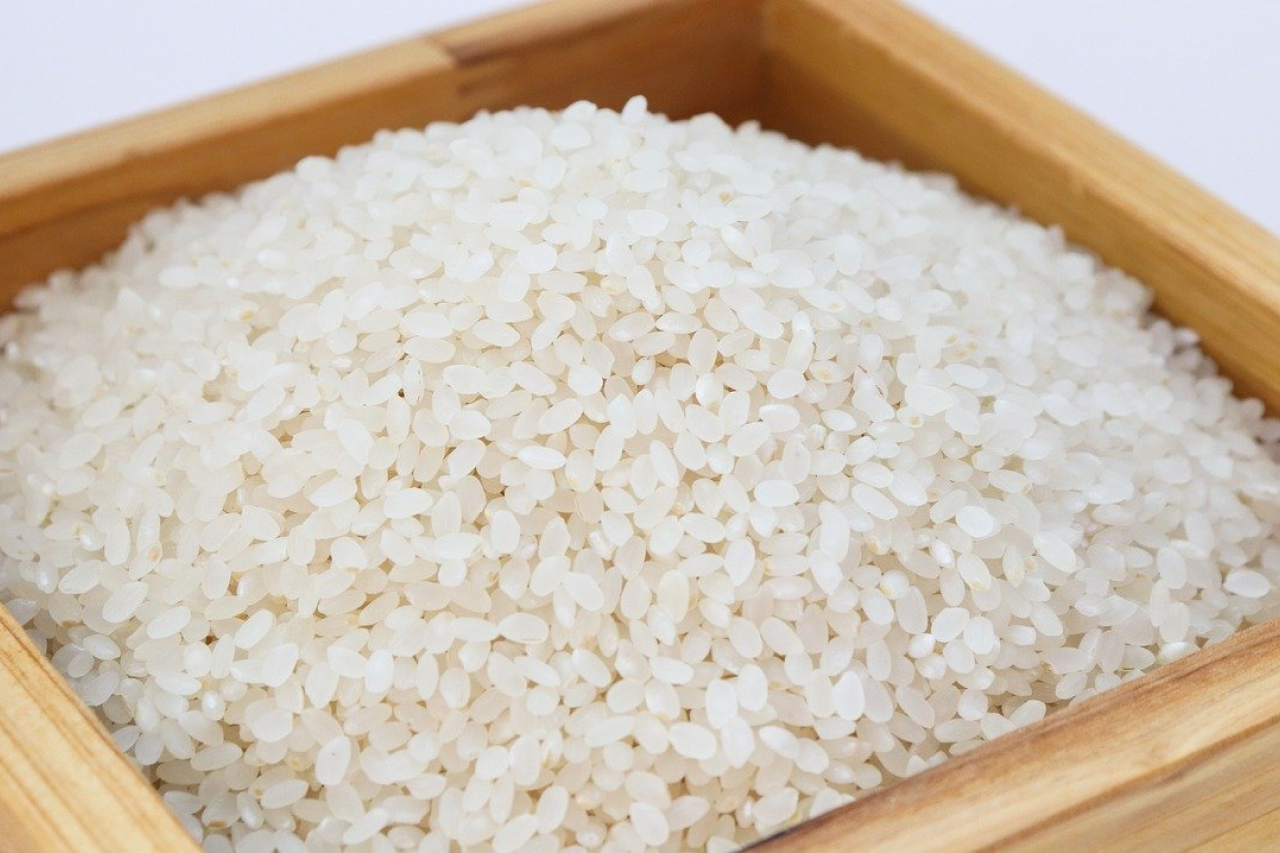 Rice safe for 2024 dogs