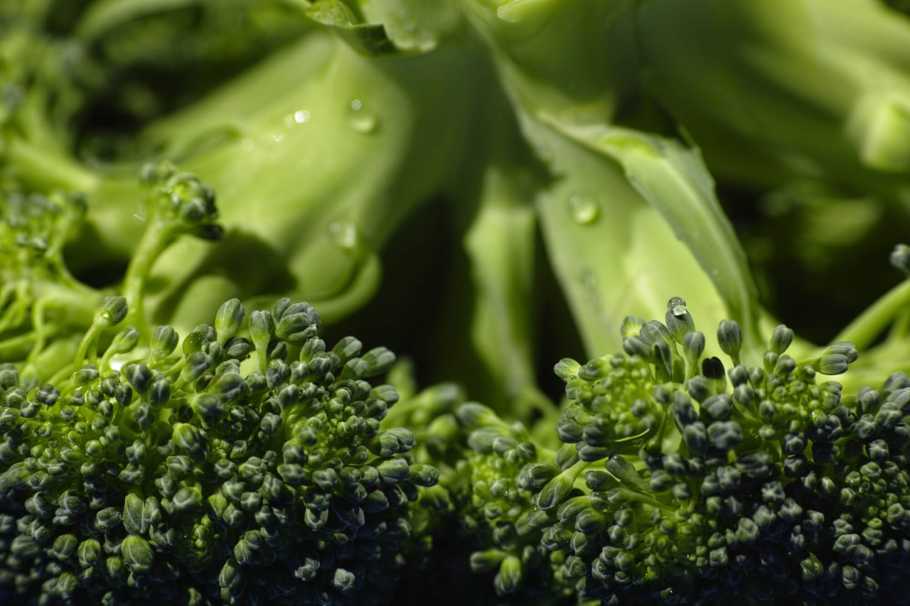 Crunchy, Canine Snacks: Broccoli