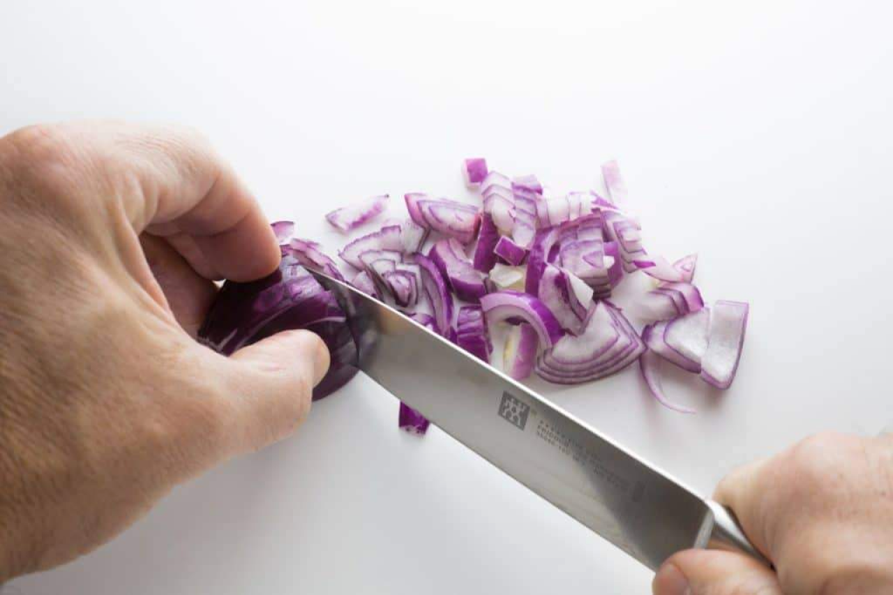 Can Dogs Eat Onions? Are They Bad For Dogs?