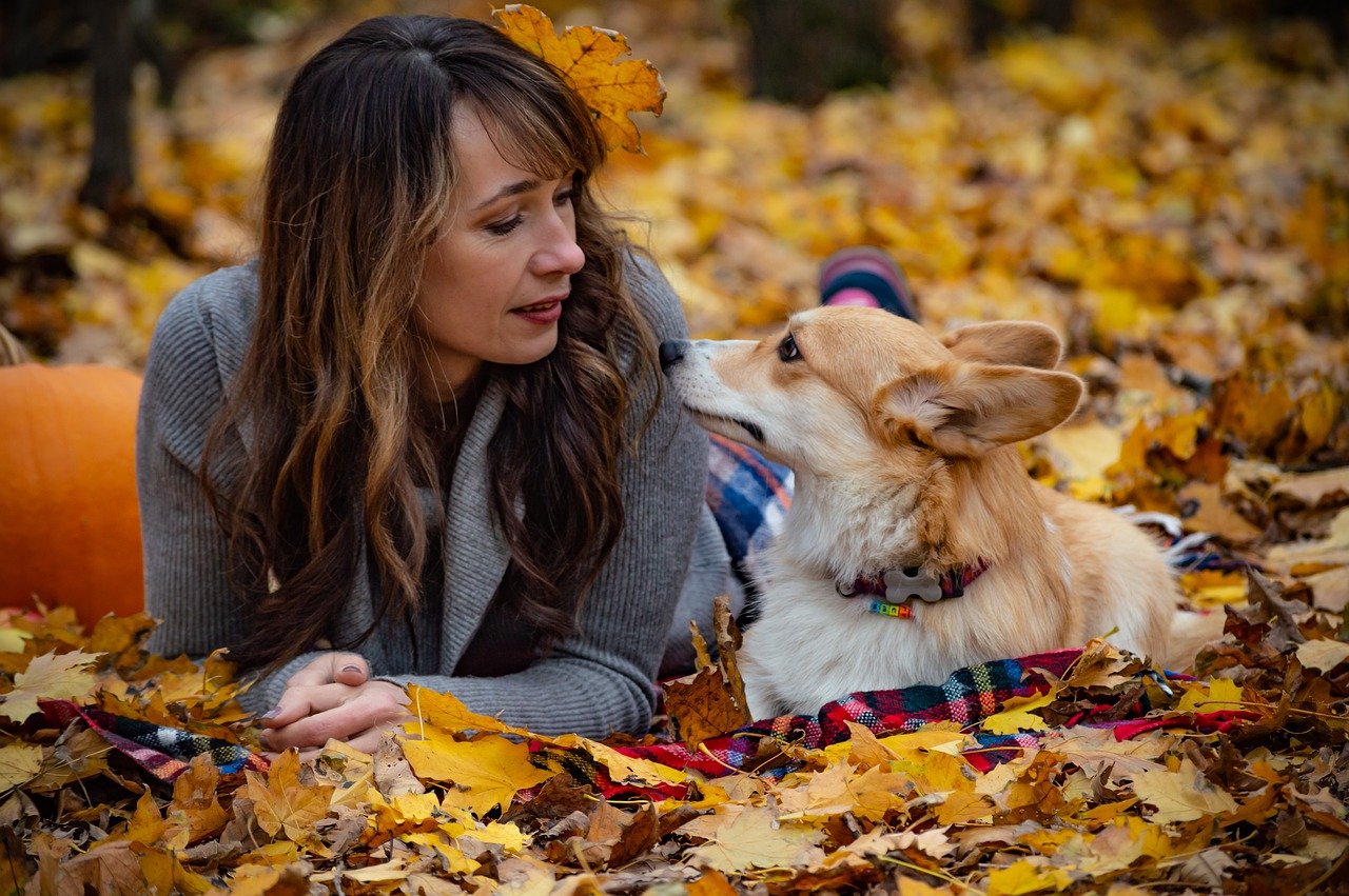 celebrating thanksgiving with your dog