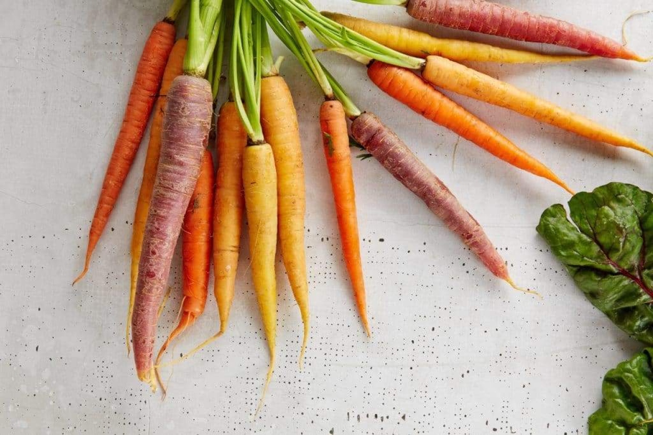 Can Dogs Eat Carrots? Is It Good For Dogs?