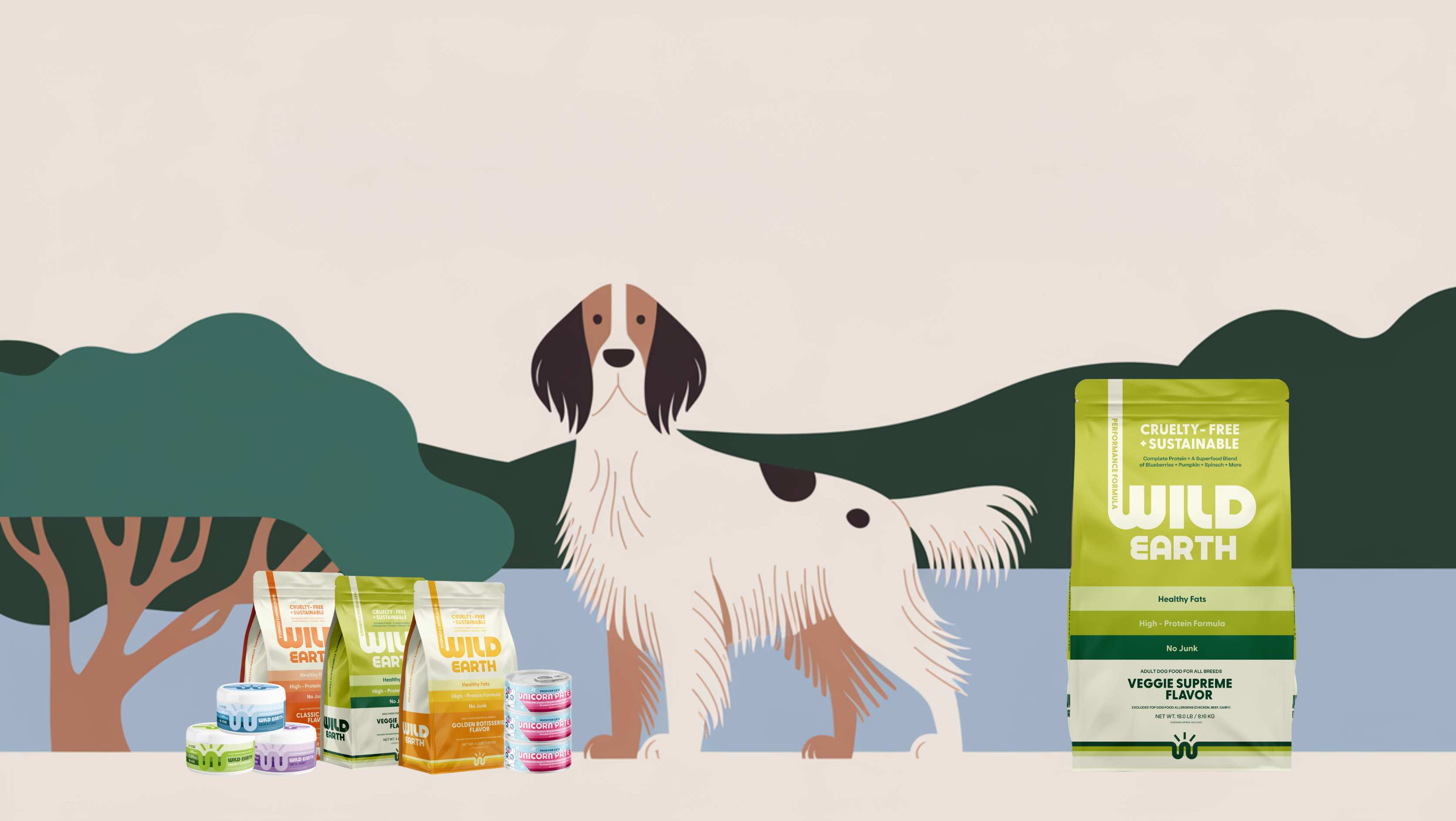 Llewellin Setter Characteristics: Traits, Allergies, and More