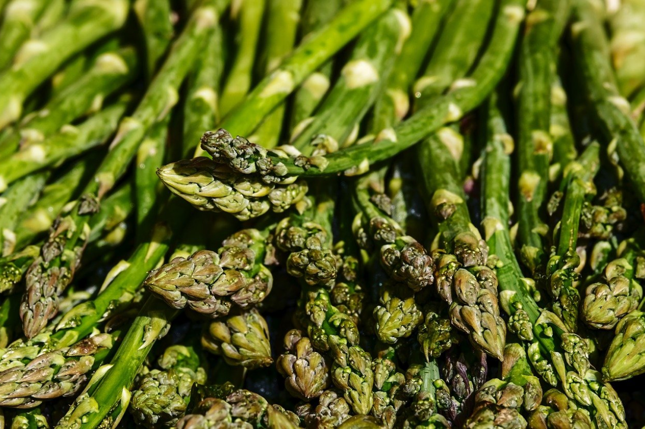 Is asparagus top bad for dogs