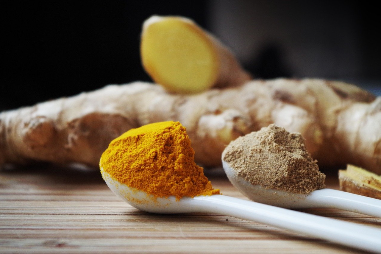 Can Dogs Eat Ginger?
