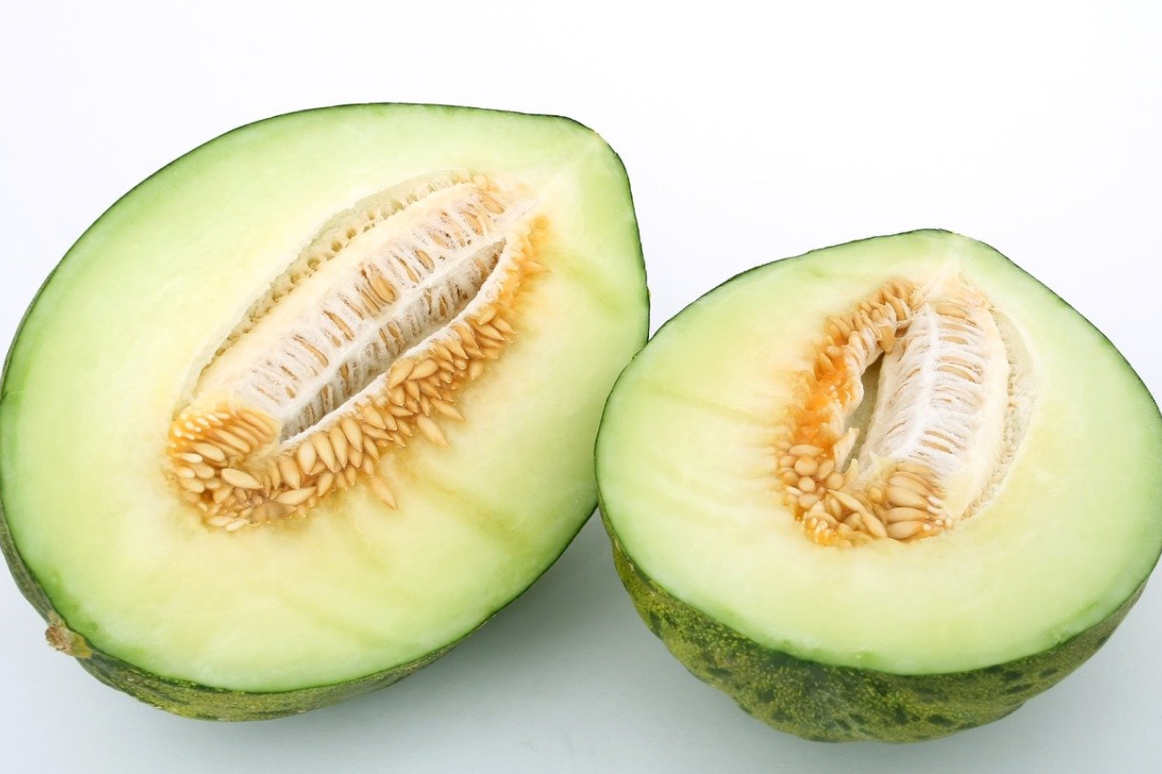 Can Dogs Eat Honeydew?