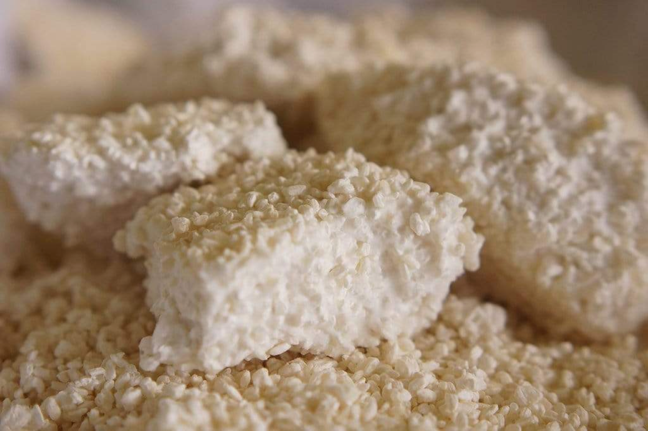Get To Know The New Protein For Dogs - Koji