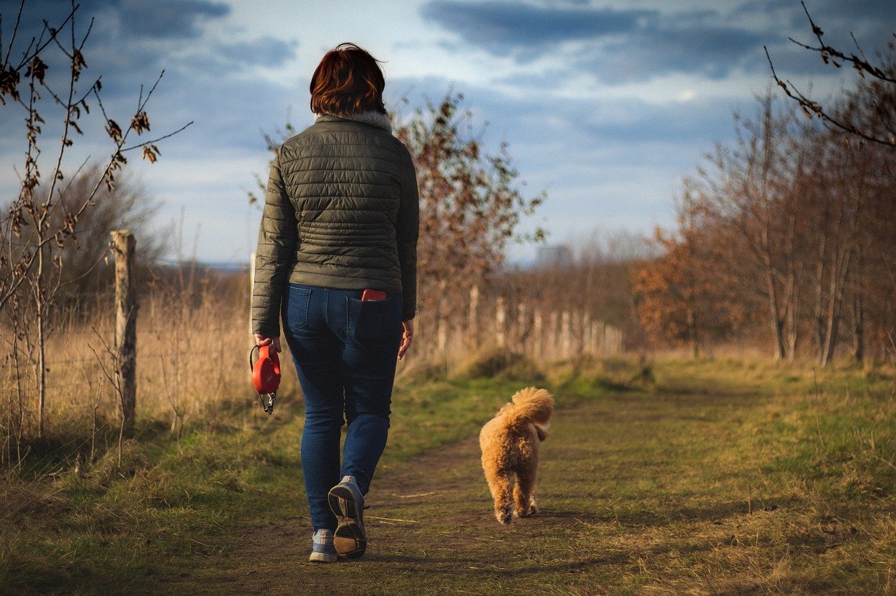 off leash dog walking