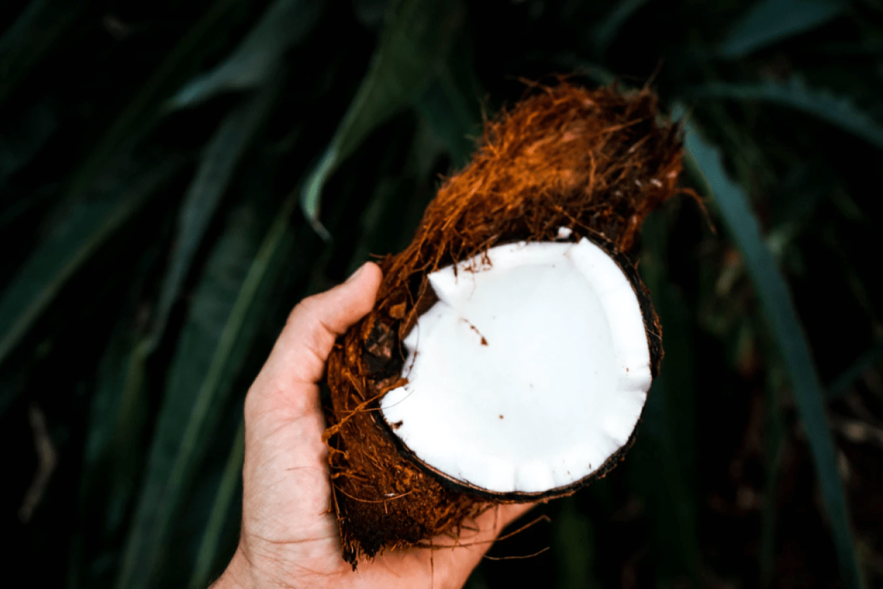Is Coconut Oil Good for Dogs?