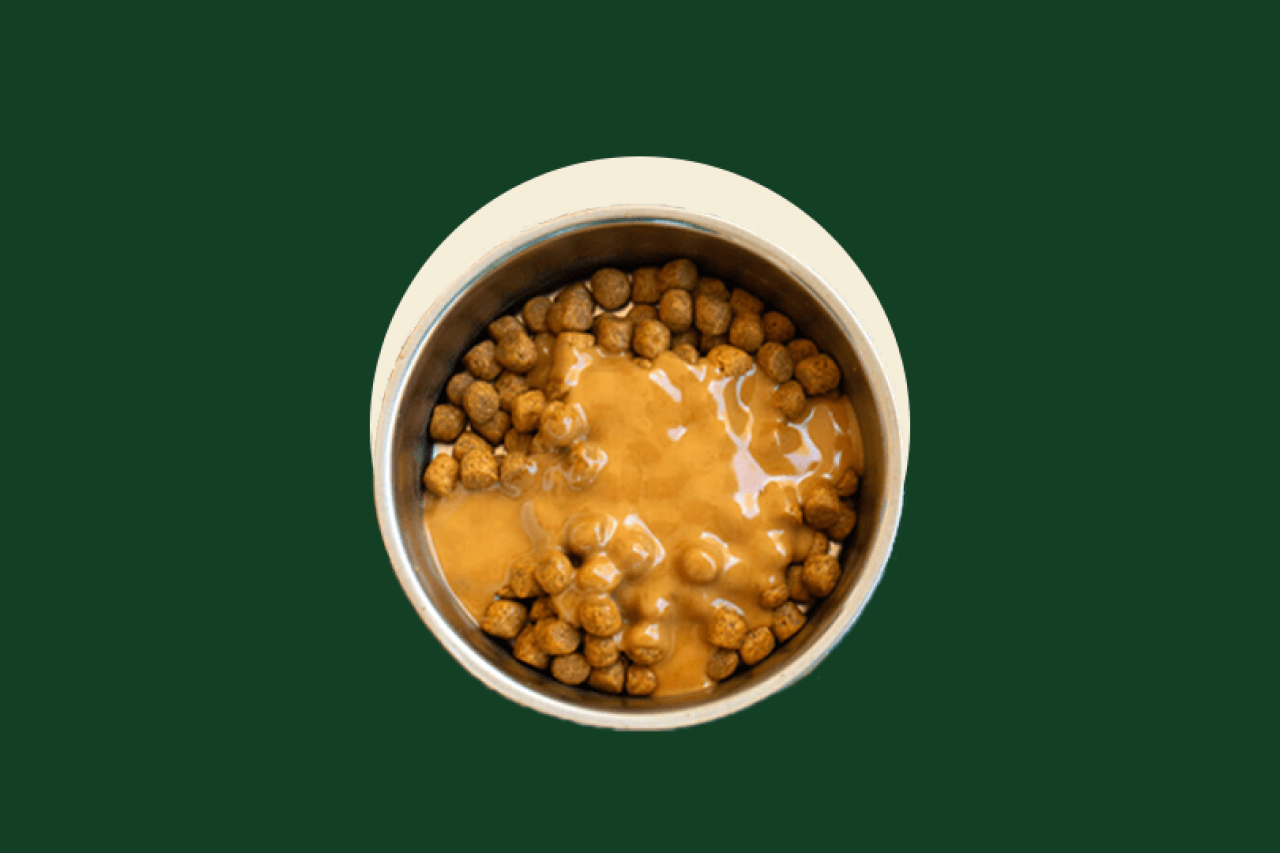 Hannah Kaminsky's Puppy Peanut Sauce Recipe