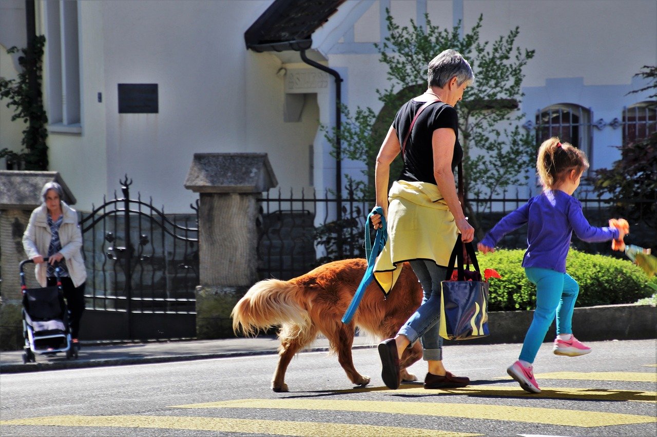 raleigh dog events