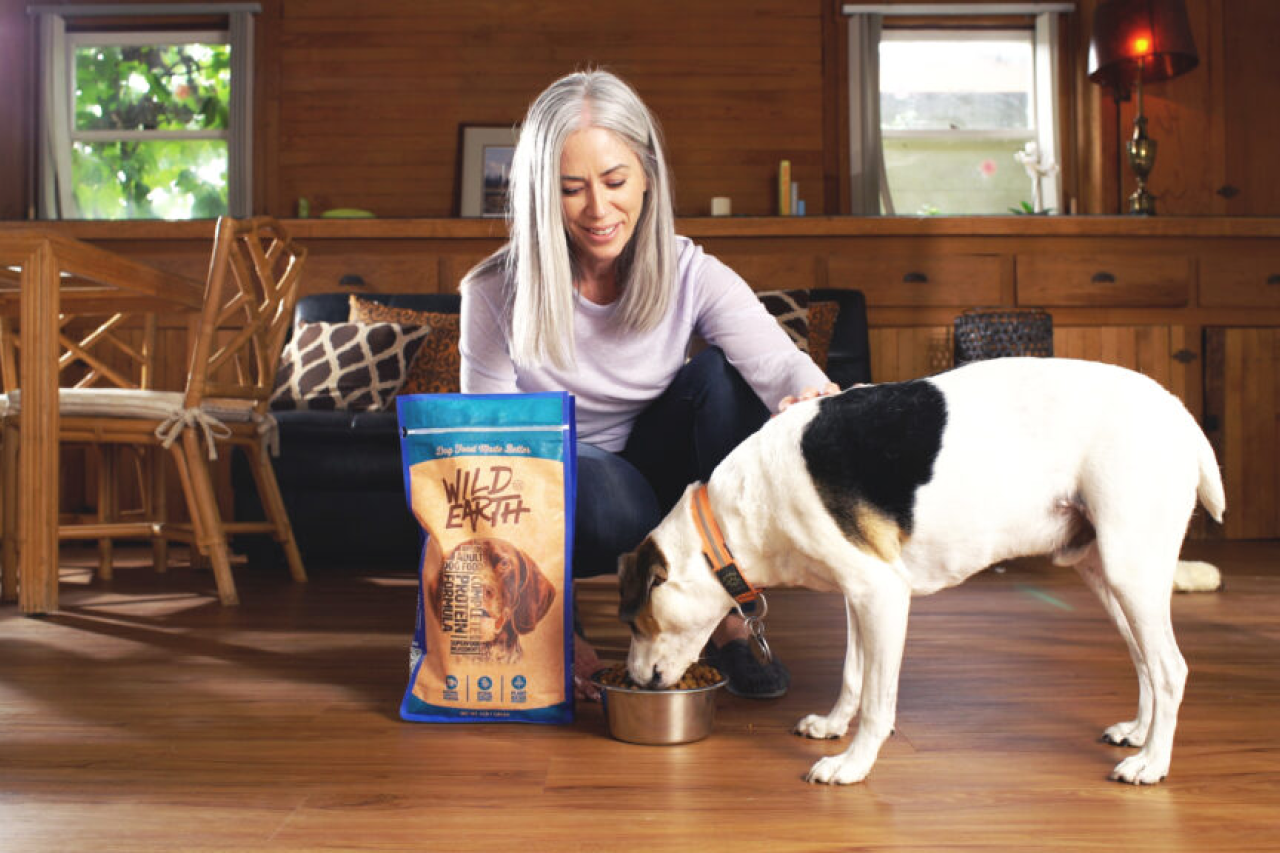 Study Shows A Vegan Diet Is Healthier For Dogs & Can Save You From Frequent Vet Bills