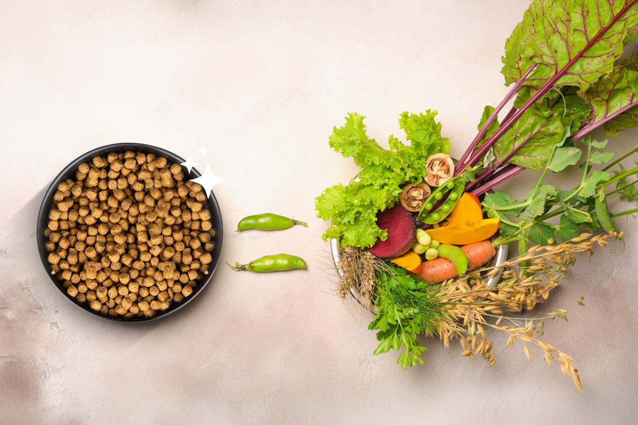 Vegan meal alternatives with dog food and vegetables.