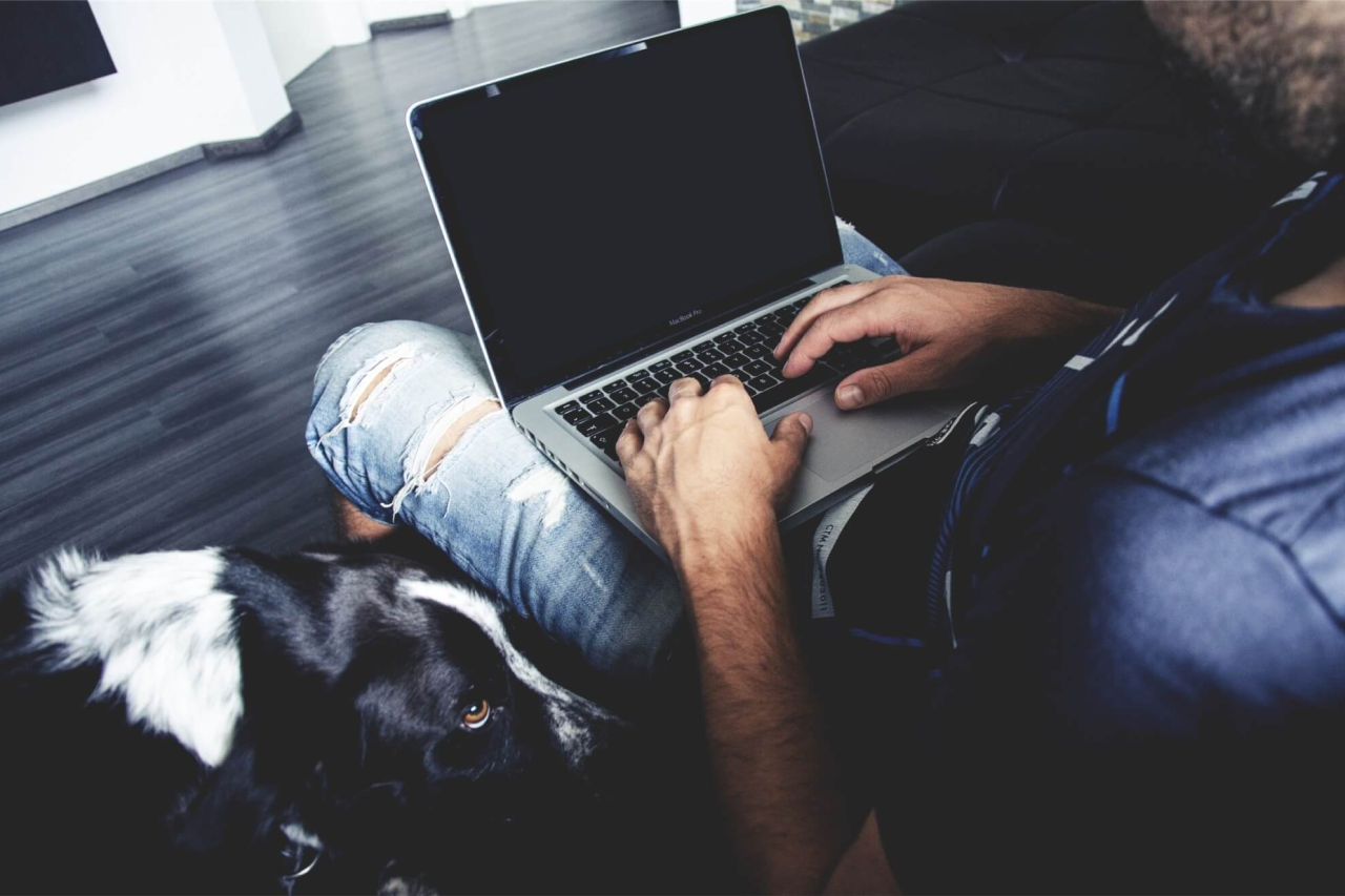 Working With Dogs: How to Work From Home With a Furry Friend
