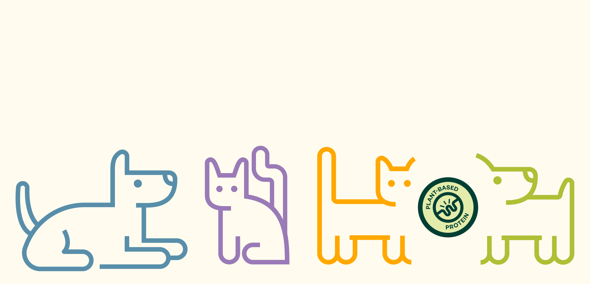 Drawings of cats and dogs.