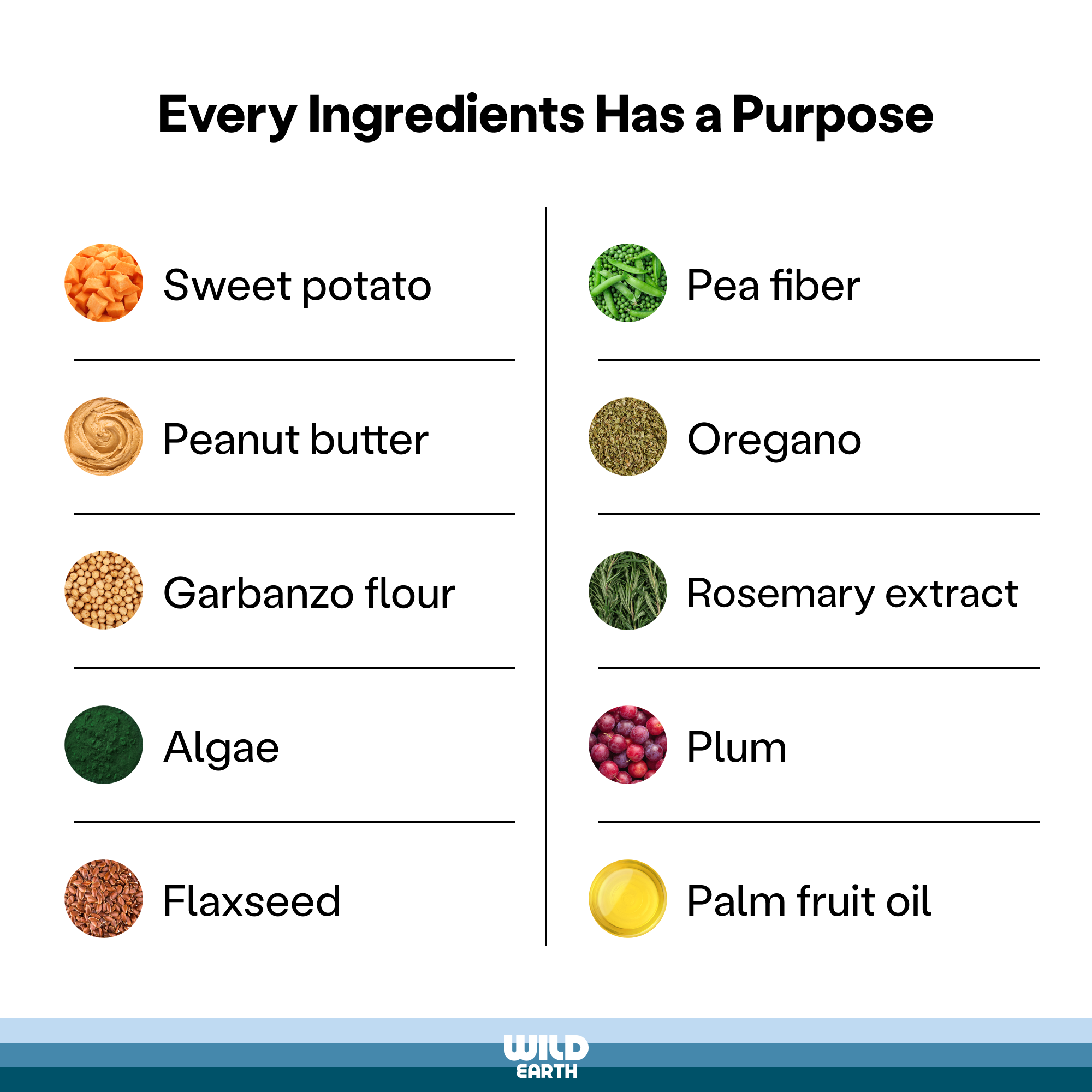 List of ingredients in a Wild Earth plant-based dog food.