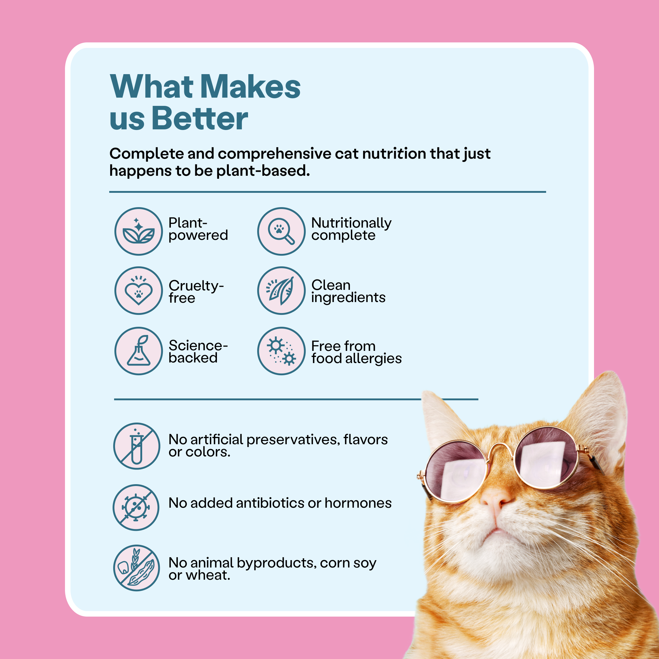 Infographics with a list of features for Unicorn Pate plant-based cat food, such as nutritionally complete, clean ingredients, no artificial flavors, no added hormones, no animal by-products, and cruelty-free.