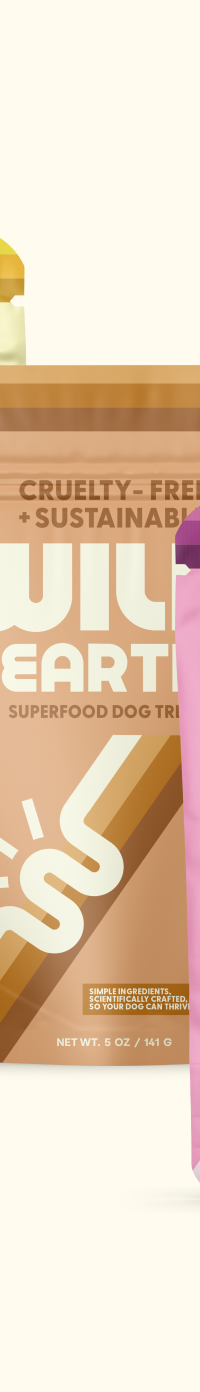 A collection of Wild Earth Vegan Dog Treats.