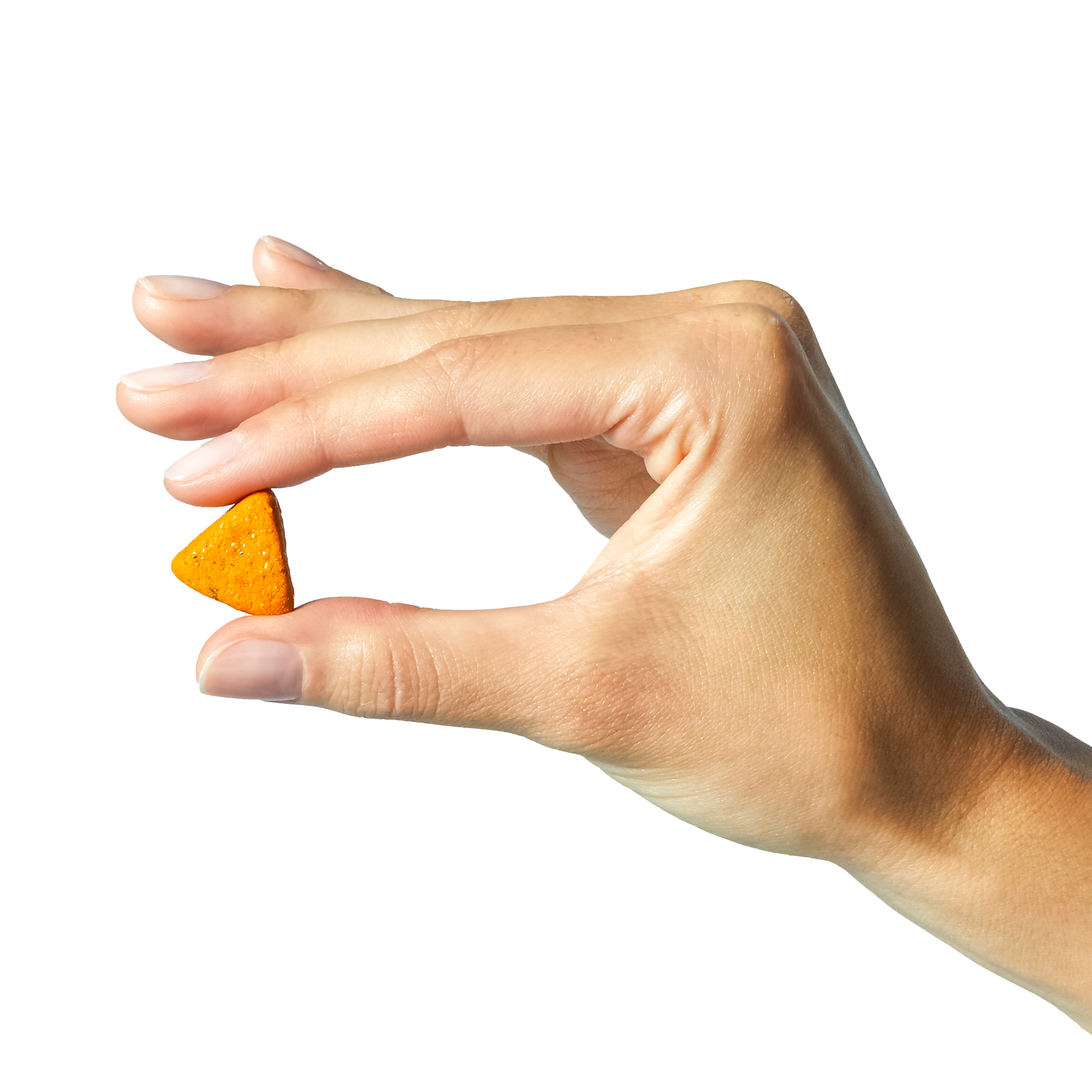 A hand holding Wild Earth Vegan Dog Supplement between their index and thumb fingers.
