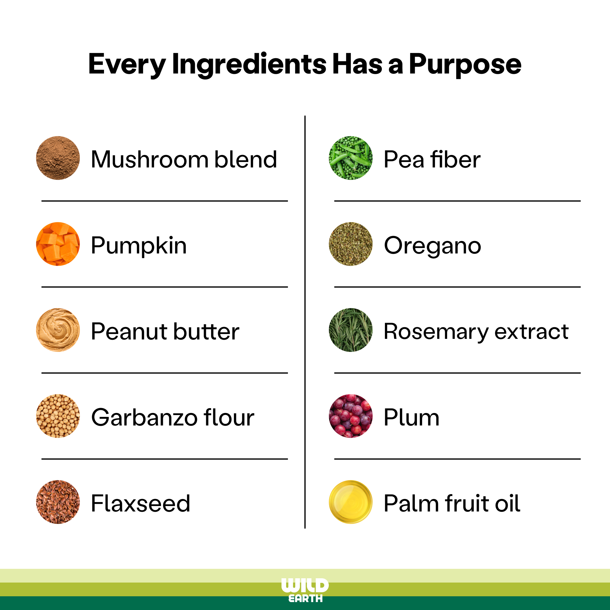 List of ingredients in Wild Earth plant-based food.