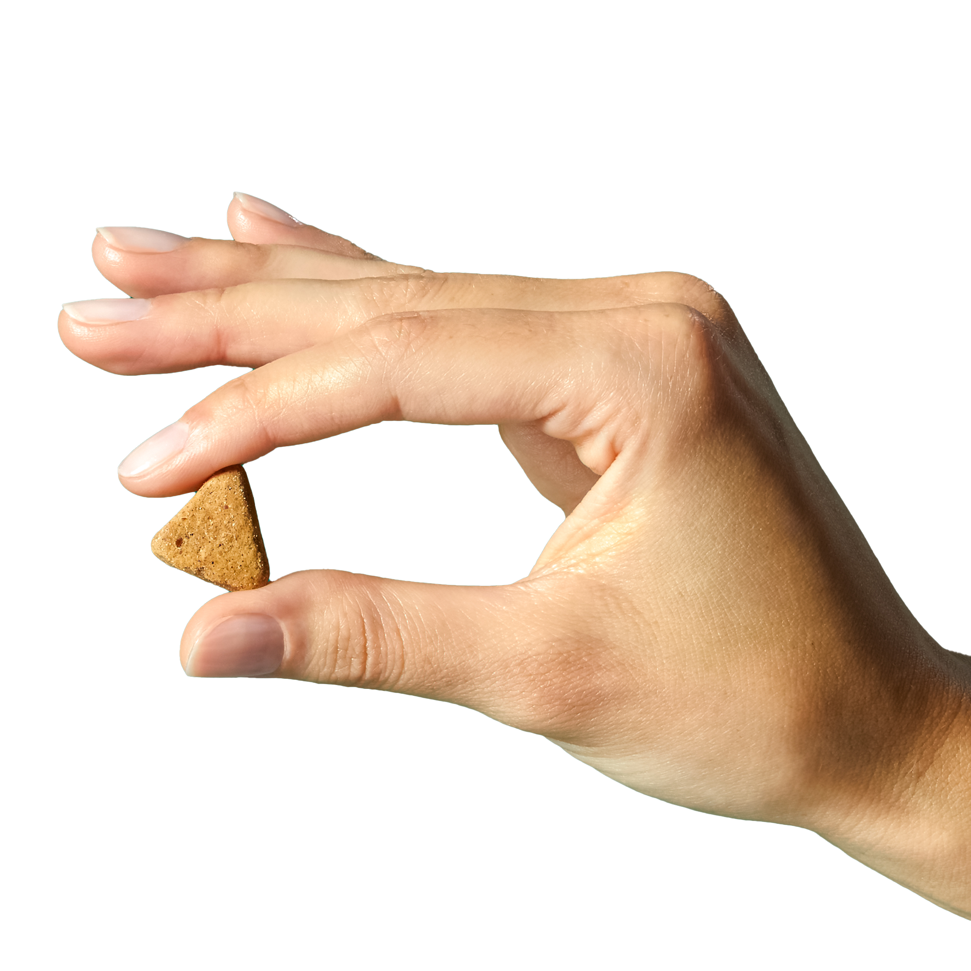 A hand holding Wild Earth Vegan Dog Supplement between their index and thumb fingers.