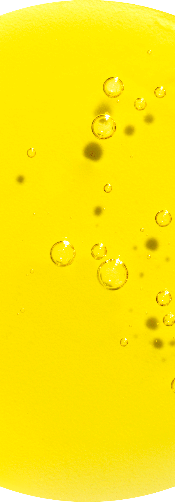 Algae.