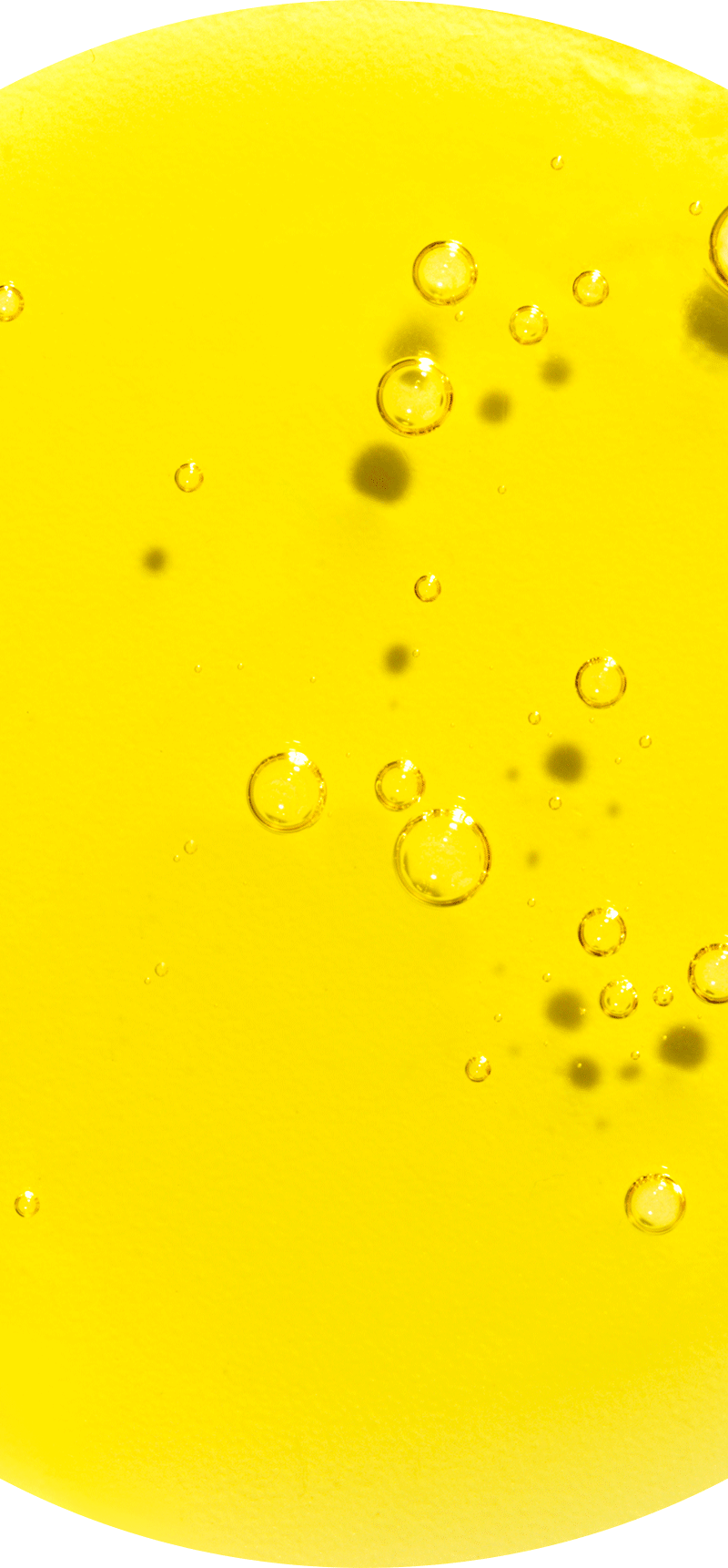 Algae.