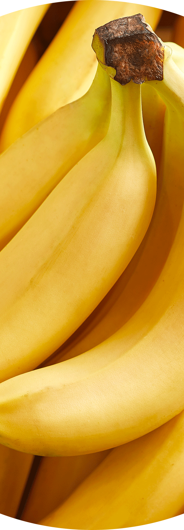 Bananas.