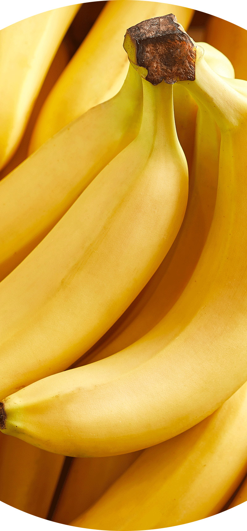 Bananas.