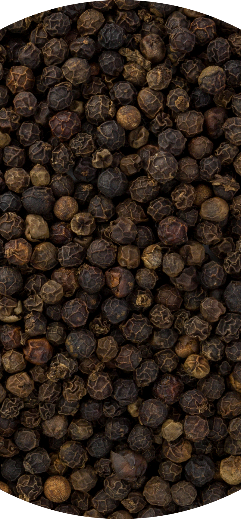 Black Pepper