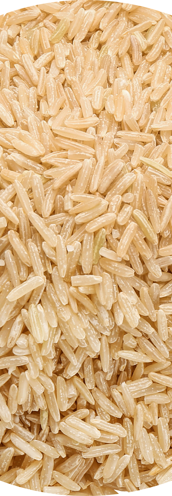 Brown Rice.