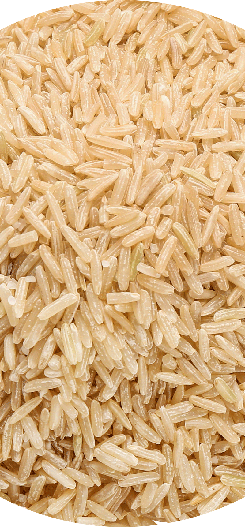 Brown Rice.