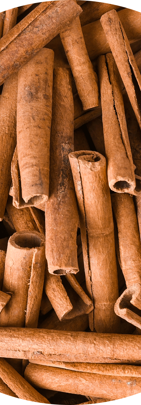 Cinnamon