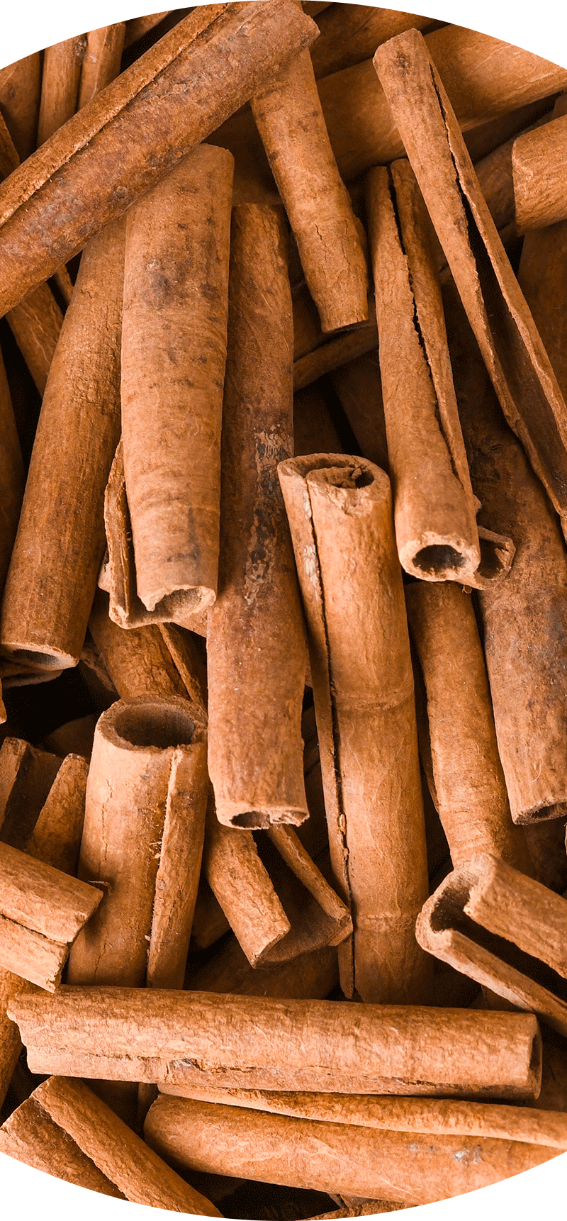Cinnamon