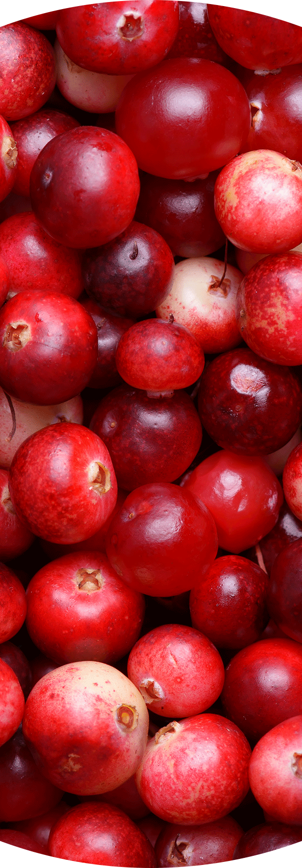 Cranberries
