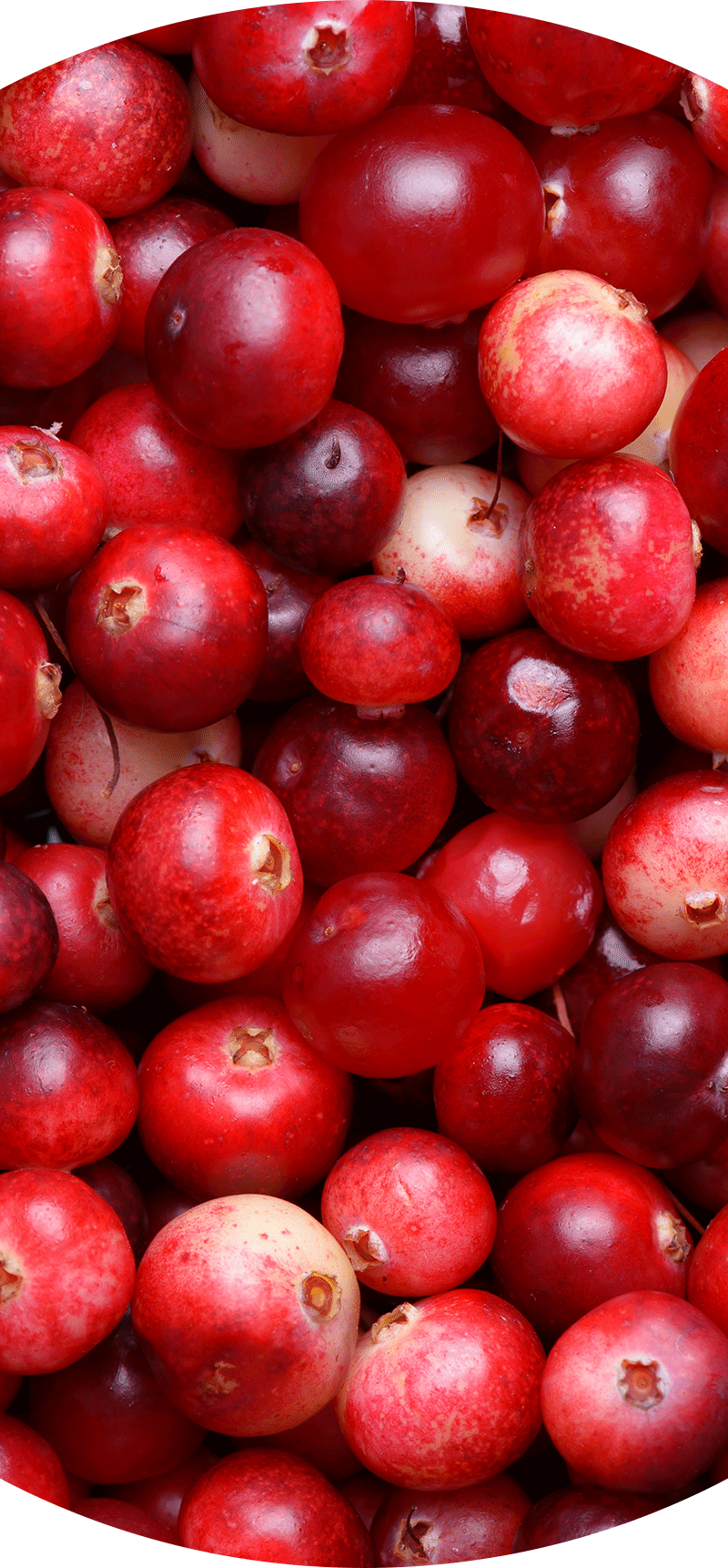 Cranberries